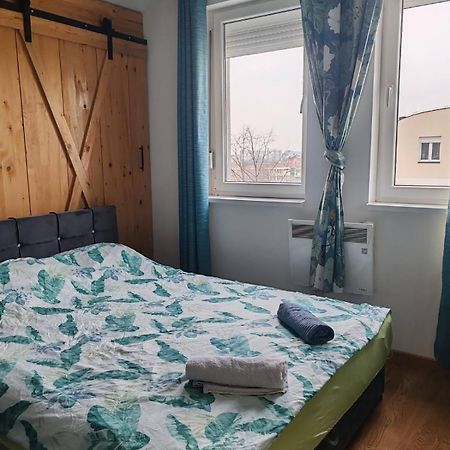 Spa Apartment Yang - Hot Tub, Sauna, Spa Novi Sad Eksteriør billede
